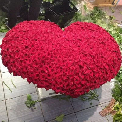 Купить 1001 роза сердце