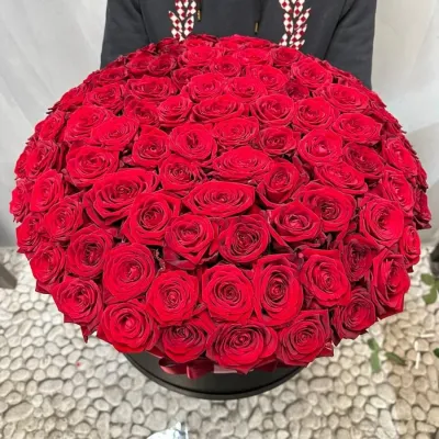 101 красная роза в шляпной коробке в руках