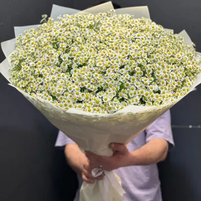 Купить 101 Ромашка в букете