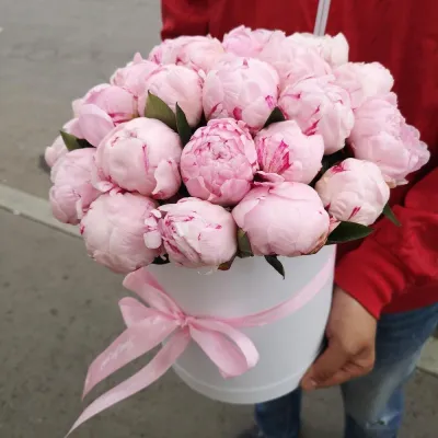 25 розовых пионов в изысканной шляпной коробке в руках
