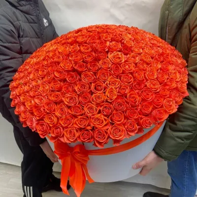 Купить 301 Оранжевая Роза