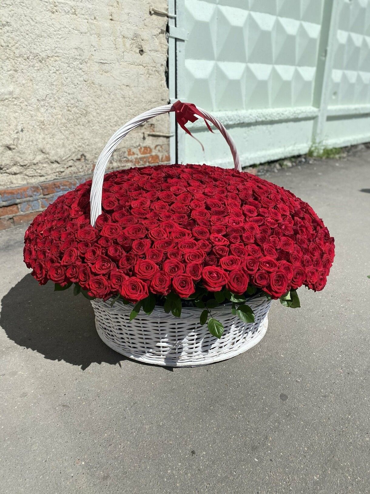Заказ цветов: 501 роза классика - ракурс 1