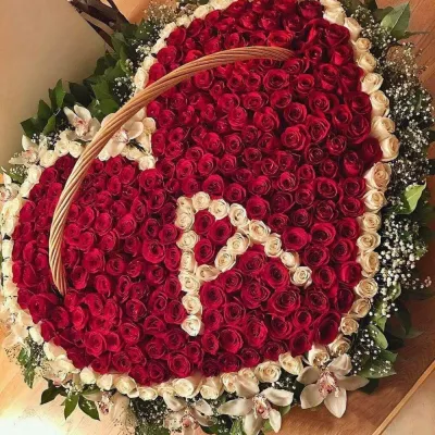 Купить 501 роза сердце