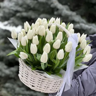 Купить 51 белый тюльпан в плетеной корзине