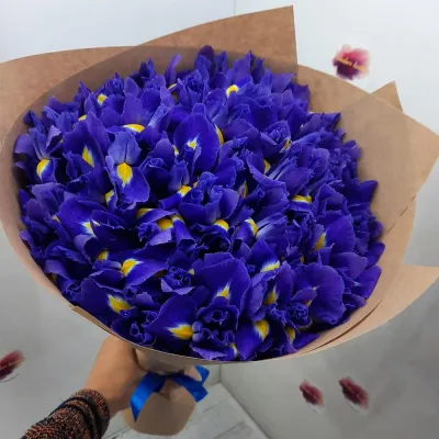 Купить 51 ирис в крафте