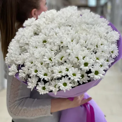 Купить Белые хризантемы 25 шт
