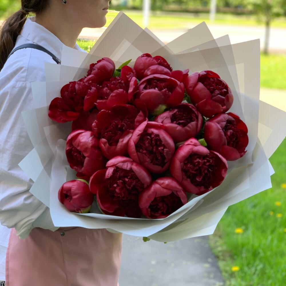 Заказ цветов: Бордовые (красные) пионы 15 шт - ракурс 3