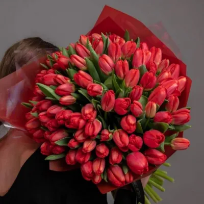 Купить Букет из 101 красного тюльпана