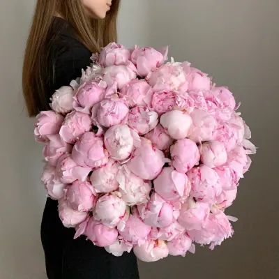 Купить Букет из 51 розового пиона