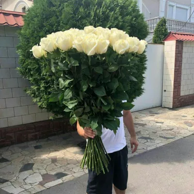 Купить Букет из 51 высокой белой розы (110 см)