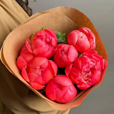 Купить Букет из 7 коралловых пионов