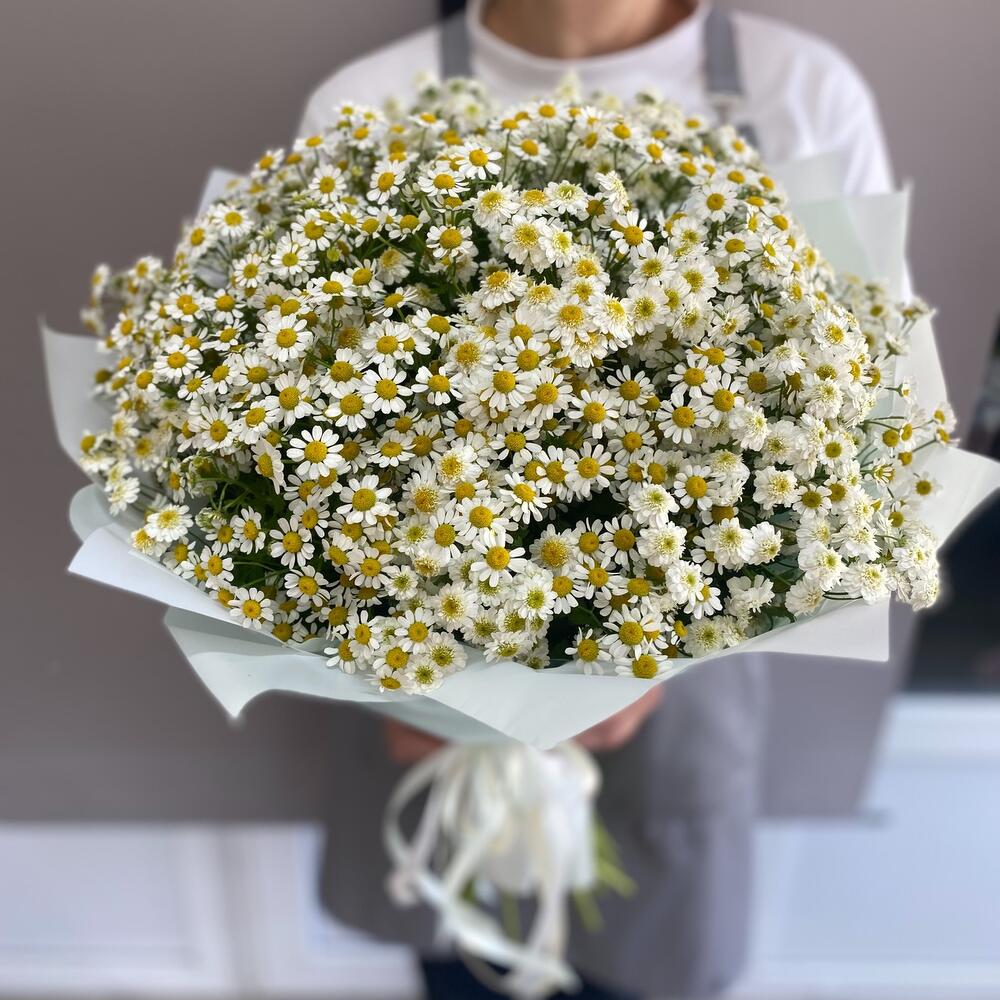 Заказ цветов: Букет кустовые ромашки 25 шт - ракурс 1