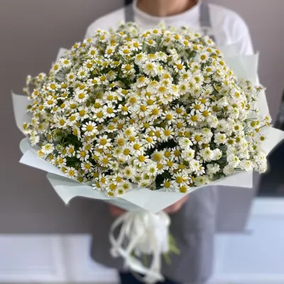 Купить Букет кустовые ромашки 25 шт