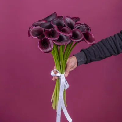 Черные каллы 19 шт в руках