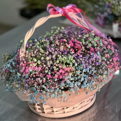 Купить Гипсофилы в корзине 5 шт