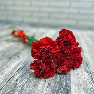 Гвоздики красные 7 шт в руках