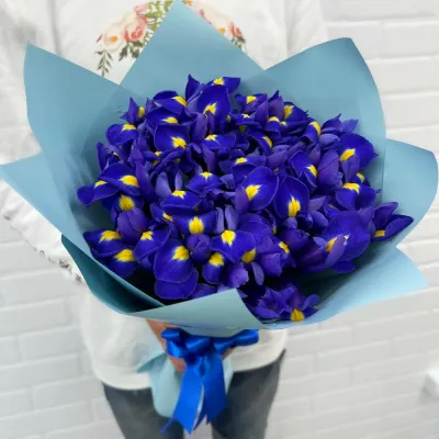 Купить Ирисы 29 шт букет