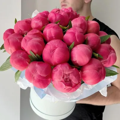 Купить Коралловые пионы 25 шт в шляпной коробке