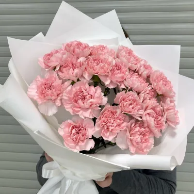 Купить Красивый букет гвоздики 19 шт.