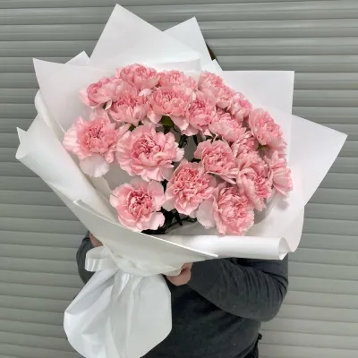 Красивый букет гвоздики 19 шт. в руках