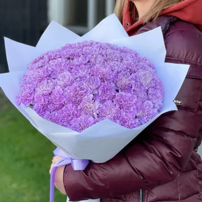 Лавандовые гвоздики 37 шт в руках