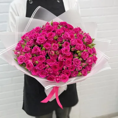 Малиновые Кустовые розы 29 шт в руках