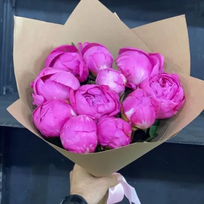 Купить Малиновые пионы 11 шт