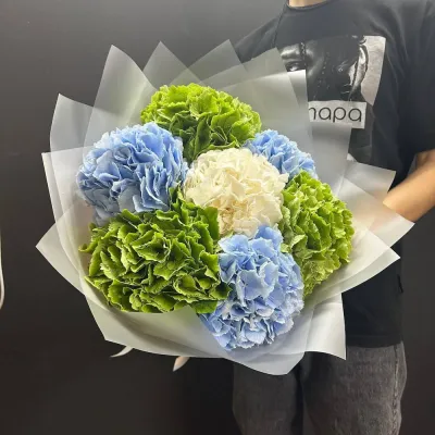 Купить Микс гортензий 11 шт