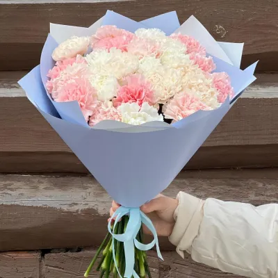 Микс гвоздики 23 шт в руках