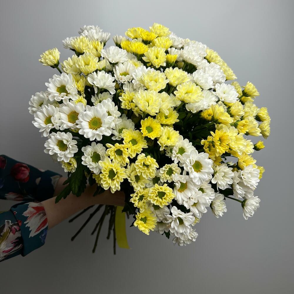 Заказ цветов: Микс хризантемы 25 шт - ракурс 1