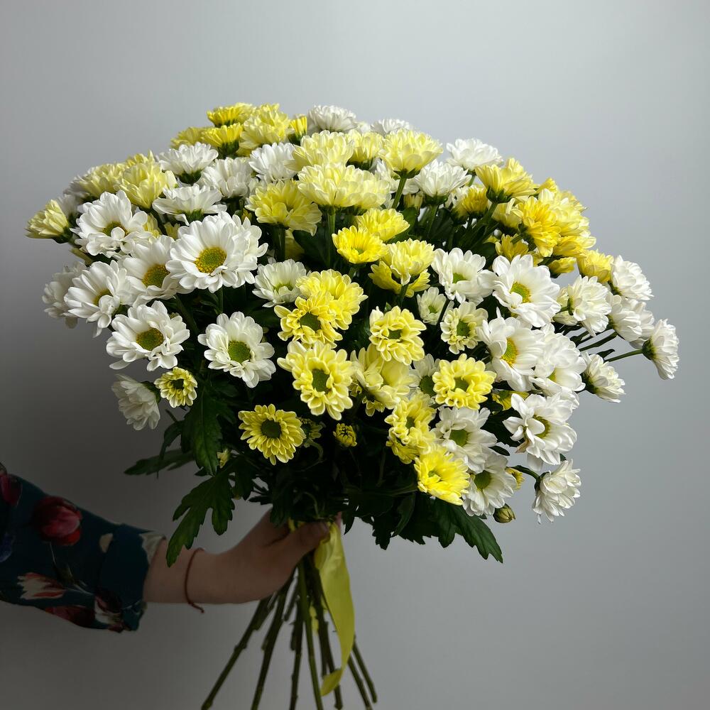 Заказ цветов: Микс хризантемы 25 шт - ракурс 2