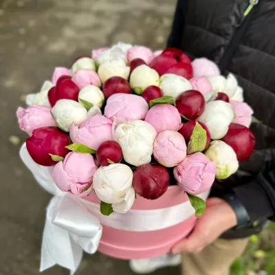 Купить Микс пионов 51 шт в шляпной коробке