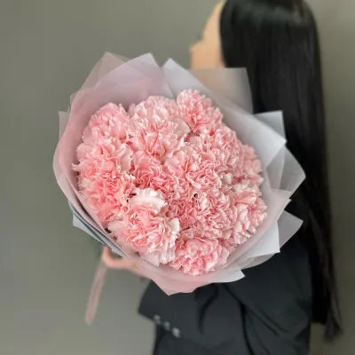 Нежно розовые гвоздики 19 шт в руках