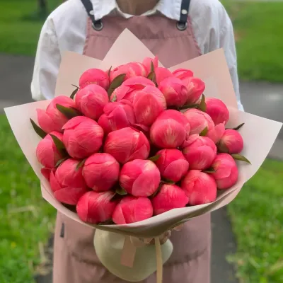 Пышный букет из 25 коралловых пионов в руках