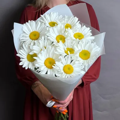 Купить Ромашки Крупные 11 шт