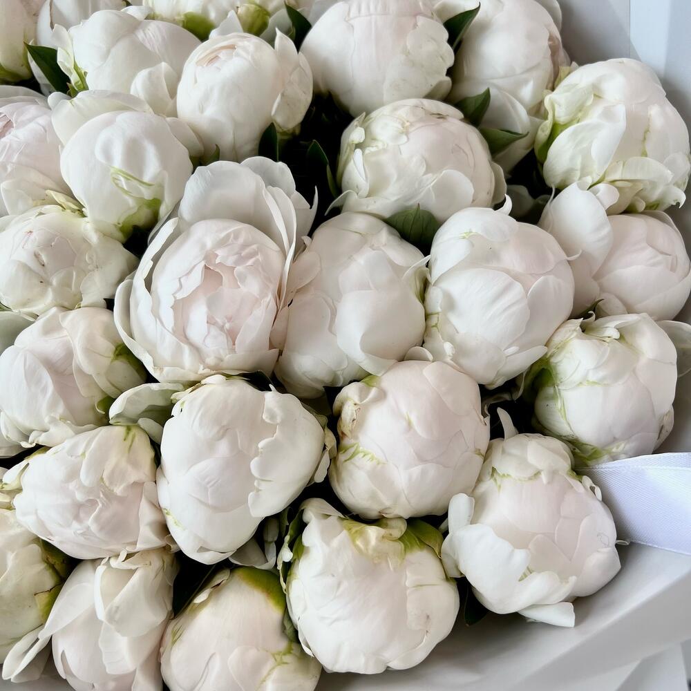 Заказ цветов: Роскошный букет из 35 белых пионов (сорт Duchesse de Nemours) - ракурс 4