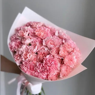 Купить Розовые гвоздики 39 шт
