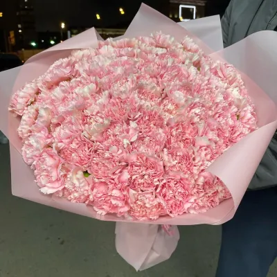 Купить Розовые гвоздики 75 шт