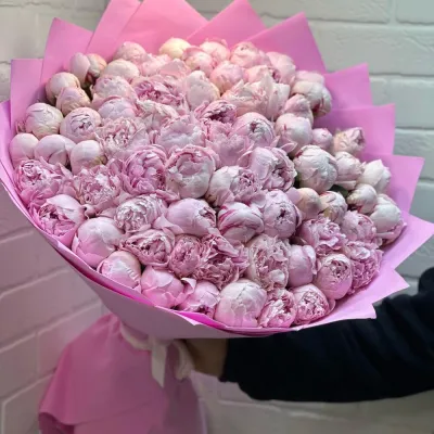 Купить Розовые пионы 75 шт