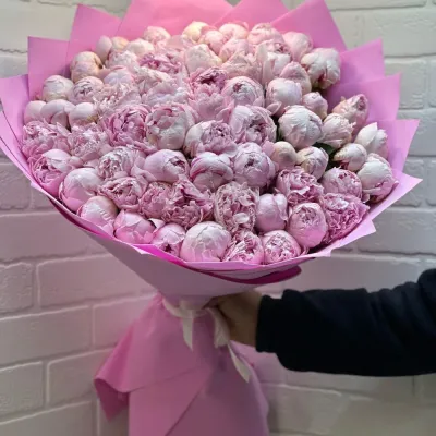 Розовые пионы 75 шт в руках