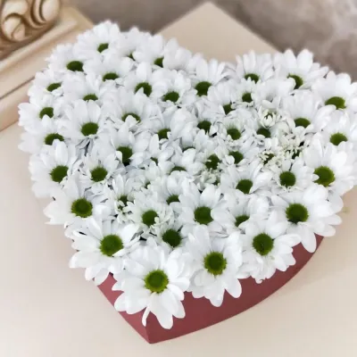 Купить Сердце из 101 хризантемы в коробке