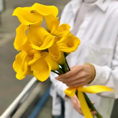 Купить Желтые Каллы 9 шт